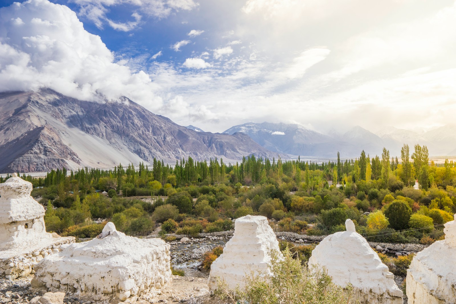 white rocks near plant field during day
