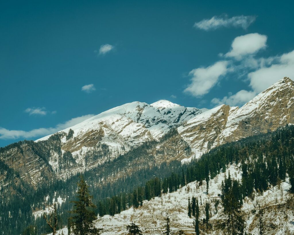 green pine trees near snow covered mountain under blue sky during daytime